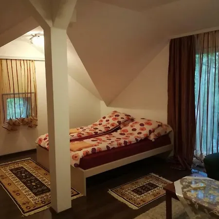 Maison d'hôtes Kraljica Vrdnik